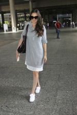 Evelyn Sharma snapped at airport on 16th June 2016